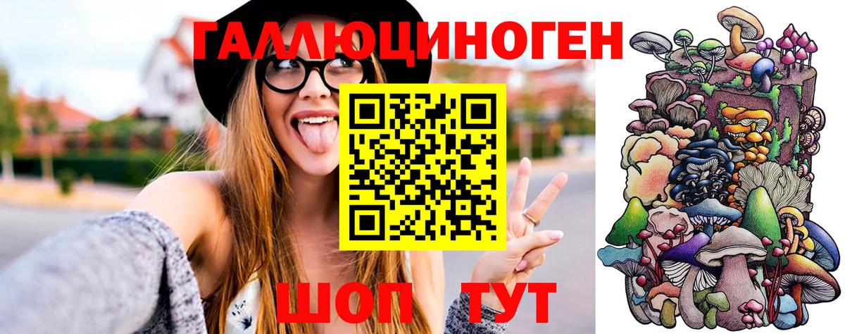 Псилоцибиновые грибы Psilocybe  Вход с VPN  Сибай 