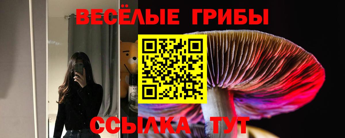 Псилоцибиновые грибы Psilocybe Сибай